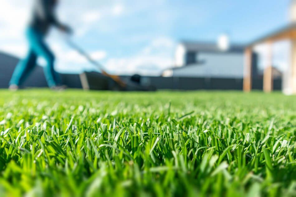 Creating a Low-Maintenance Lawn in Kissimmee: Strategies and Tips for Busy Homeowners